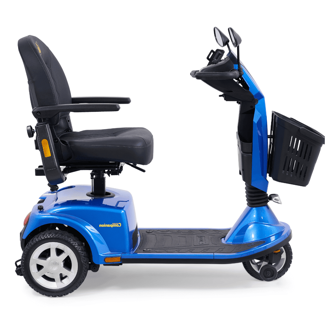 Companion (3-wheel) Full Size - Image 2