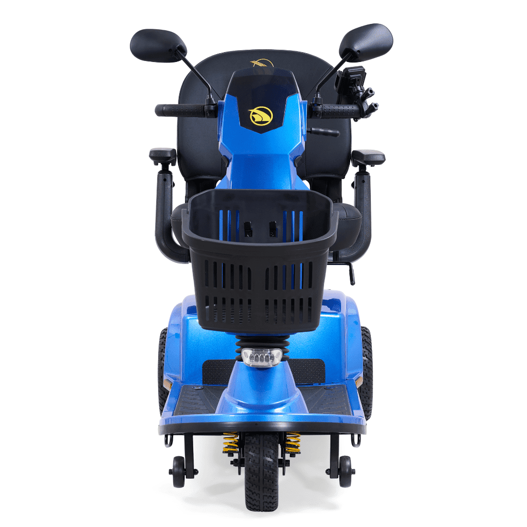 Companion (3-wheel) Full Size - Image 3